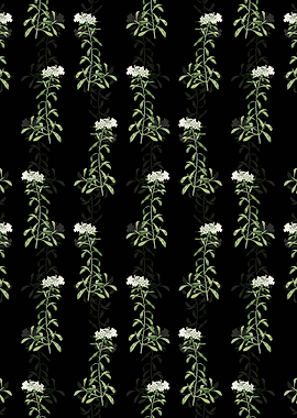 Floral Small White Pattern