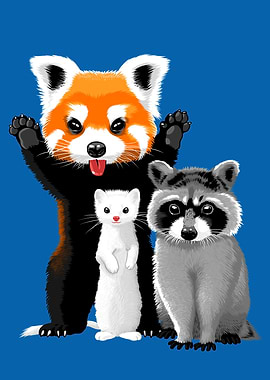 Raccoon ferret and red pa