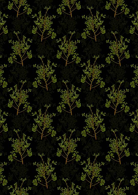 Atlantic White Cypress