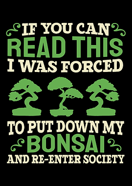 Bonsai Tree Japanese