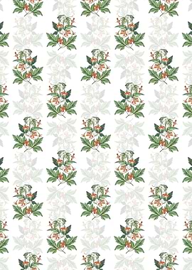 Red Loasa Flower Pattern