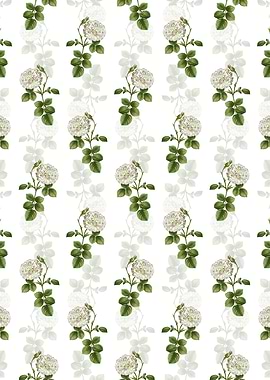 White Rose of York Pattern