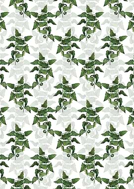 Common Smilax Pattern