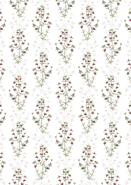 Heath Mirbelia Branch