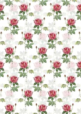 Floral French Rose Pattern