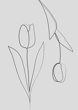 Tulip flower one line art