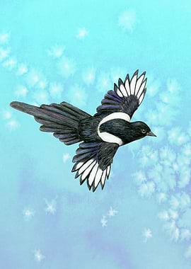Flying magpie pencil
