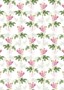 Pink Agatha Rose Pattern