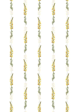 Floral Adenocarpus Pattern