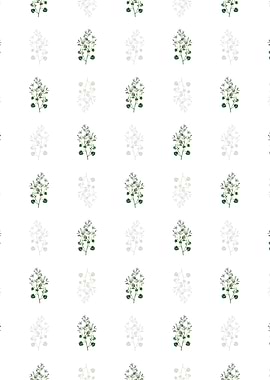 Dalmatian Wall Campanula