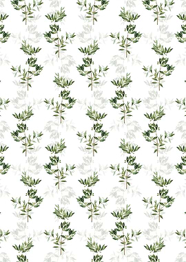 Fontanesia Phillyreoides