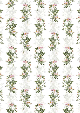 Pink Pompon Rose Pattern