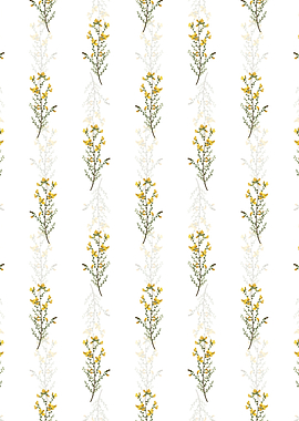 Floral Adenocarpus Pattern