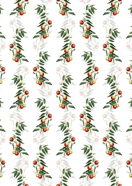 Chinese Jujube Pattern