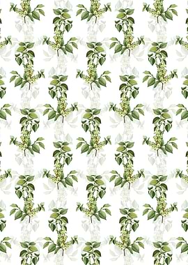 Floral Field Elm Pattern