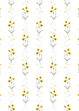 Perennial Dyers Coreopsis