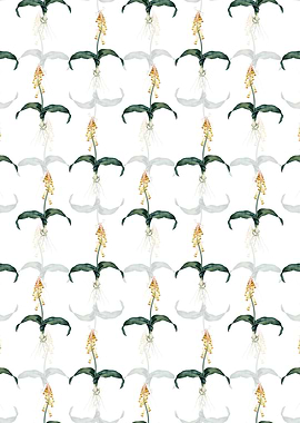 Floral Watsonia Pattern