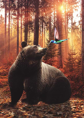 The bear and the bird