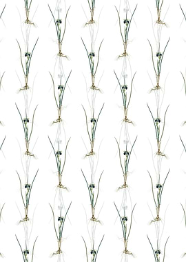 Floral Snakes Head Pattern