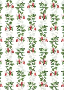 Redcurrant Plant Pattern