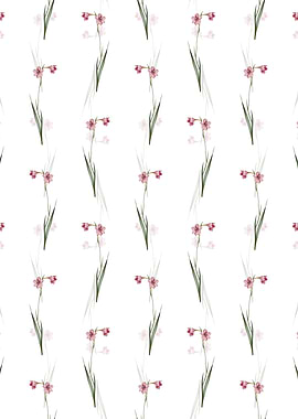 Floral Sword Lily Pattern