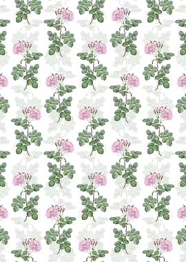 Floral Damask Rose Pattern