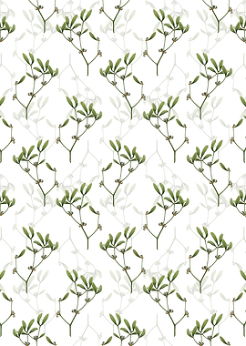 White Viscum Album Branch