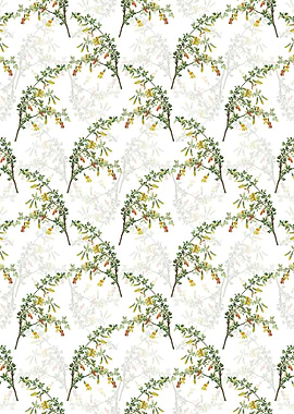 Caragana Sinica Pattern