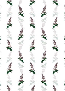 Lady Josikas Lilac Flower