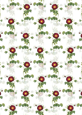 White Floral Rose Pattern