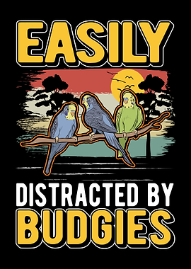 Budgie Gift Parakeet