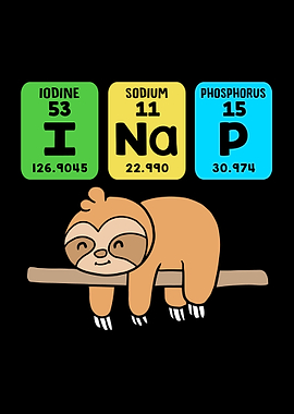 I Nap Periodically Sloth