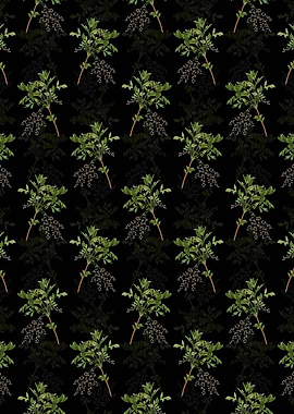 Shrub Yellowroot Pattern