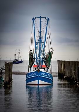 Boat Sailing Boats Ocean