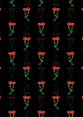 Bunges Lychnis Flower