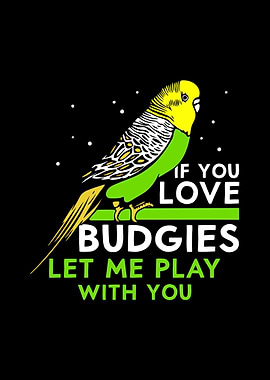 Budgie Budgeriga
