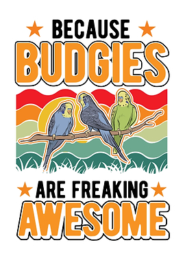 Budgie Gift Parakeet