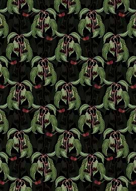 Black Hard Fleshed Cherry