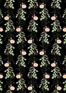 Sparkling Rose Pattern