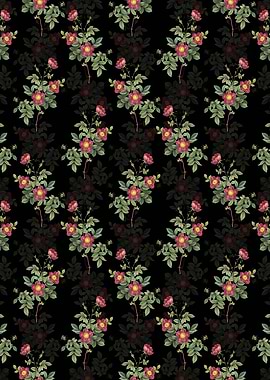 Floral Alpine Rose Pattern