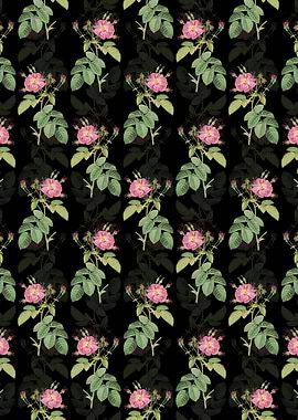 Harsh Downy Rose Pattern