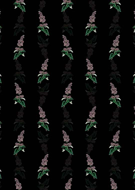 Lady Josikas Lilac Flower