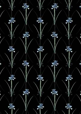 Black Spanish Iris Pattern