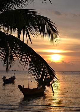 Boat Sailing Boats Ocean