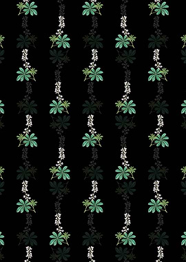 Half Shrubby Lupine Flower