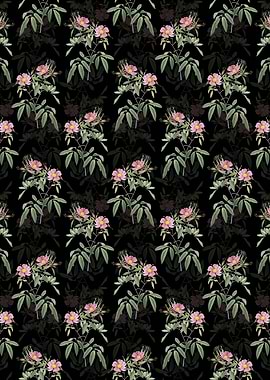 Pink Swamp Roses Pattern