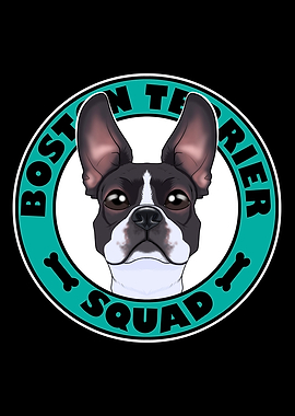 Boston Terrier Squad I Dog