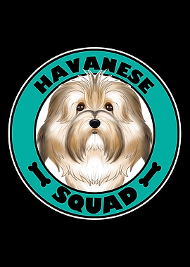 Havanese Squad I Dog Lover
