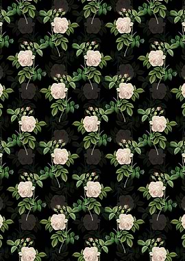 Floral Rosa Indica Pattern