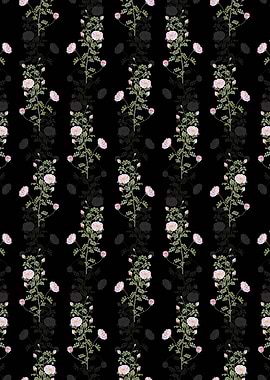 Pink Scotch Briar Rose